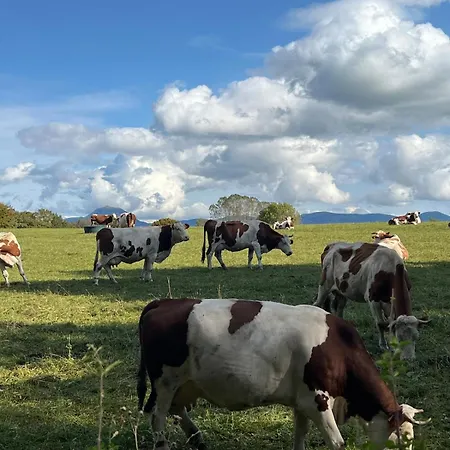 La Ferme Des Trois Fontaines Nature Et Detente
